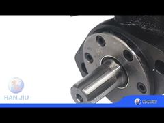 Động cơ thủy lực BMP-200-2-E-D-B với van cứu trợ, SAE 6B Shaft, cổng BSPP