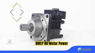 BMSY-80-W-FE-SU+FYSD-15-D
